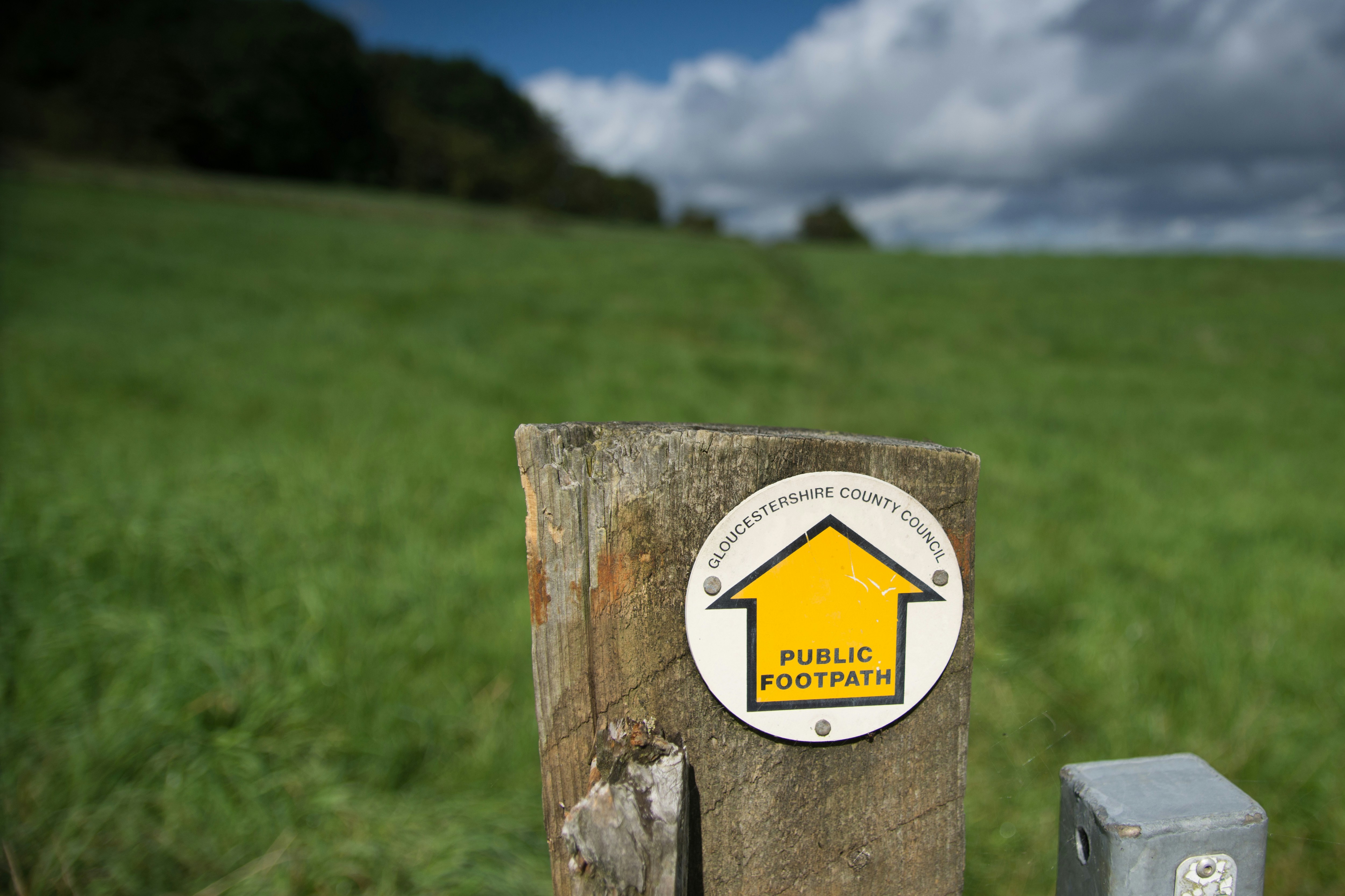 Campo de grama verde