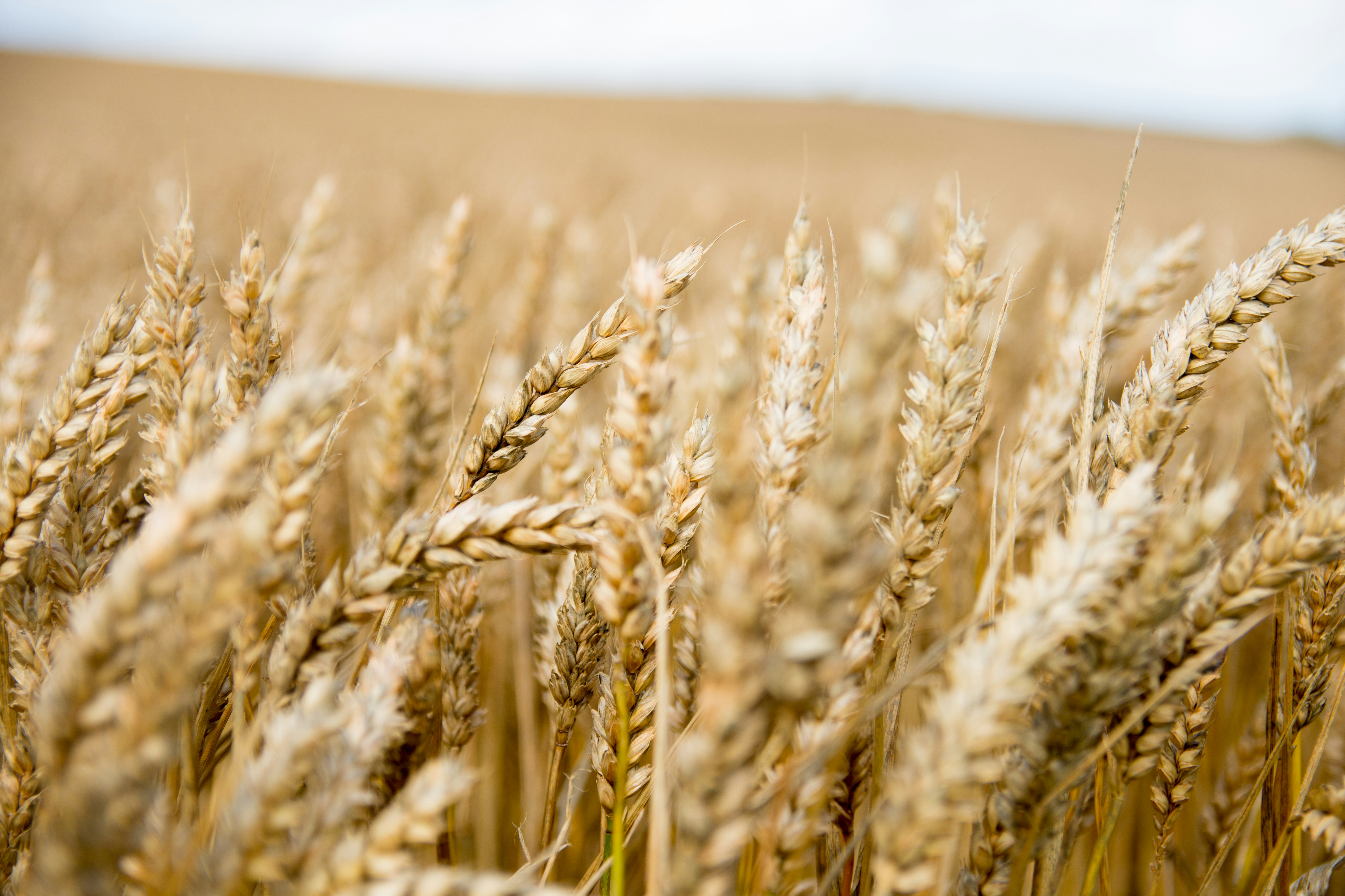 Photo by maplerockdesign