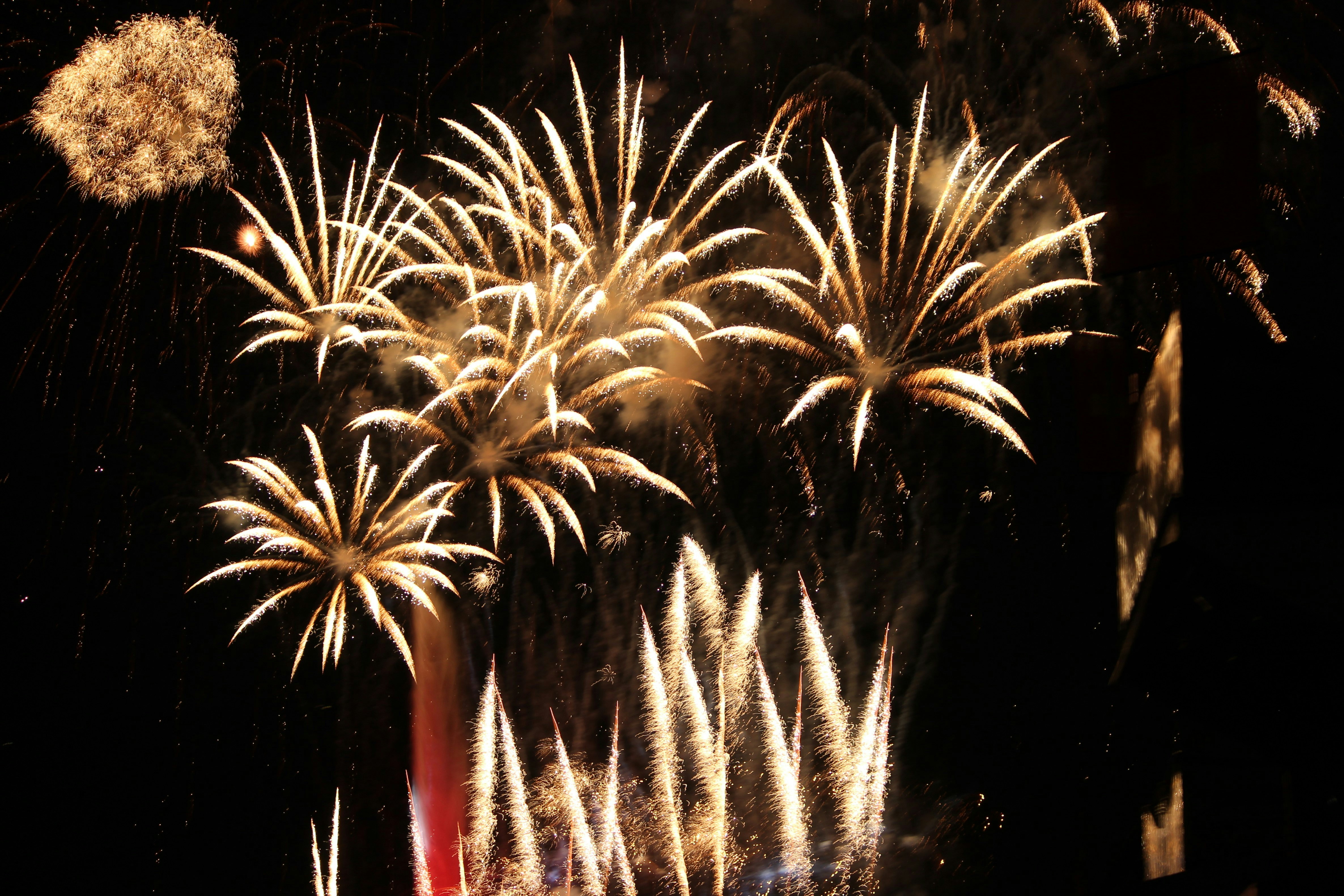 Photo by protopopica