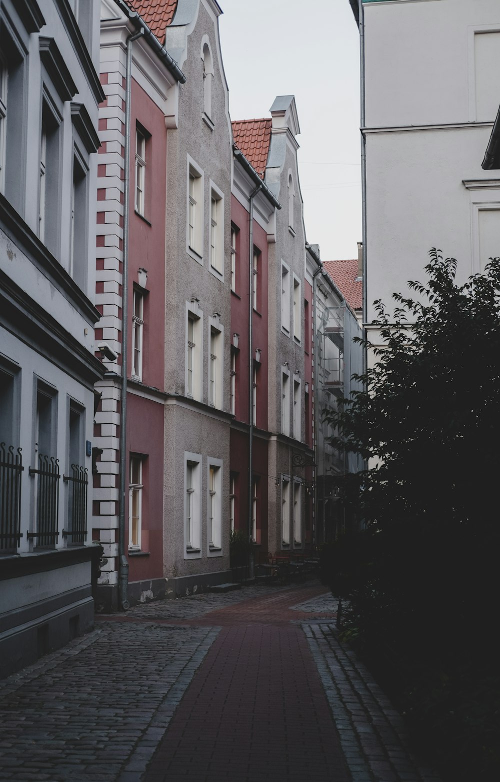 pink and gray concrete building