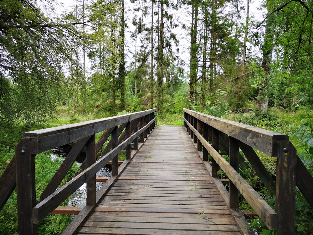 brown wooden bridge surrounded by green trees