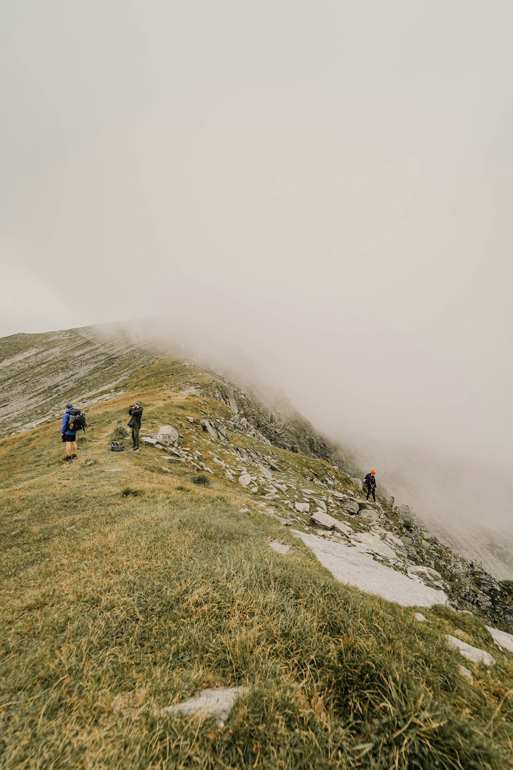 three person walking on hill