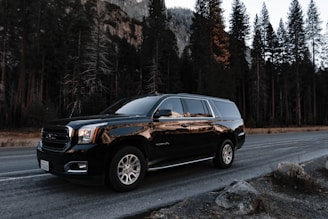 black GMC SUV passing road beside green pine trees during daytime