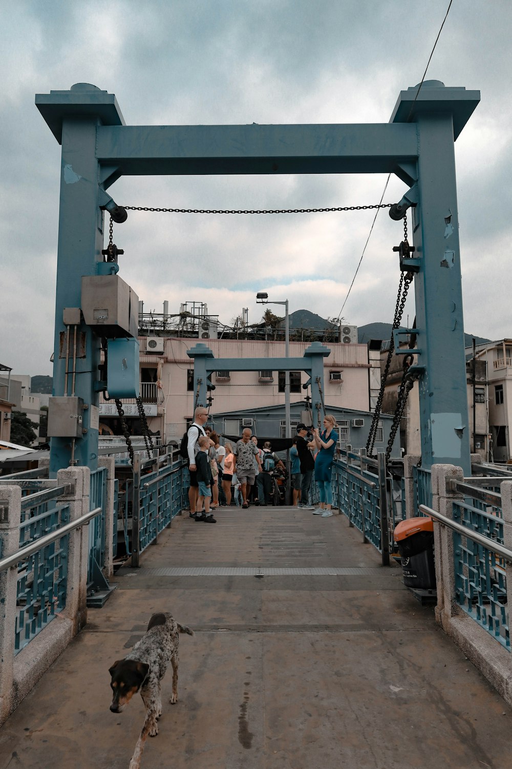 people crossing bridge