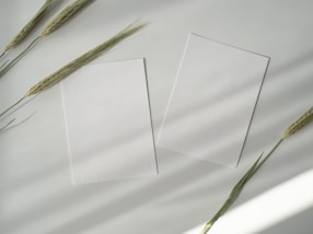 two white papers