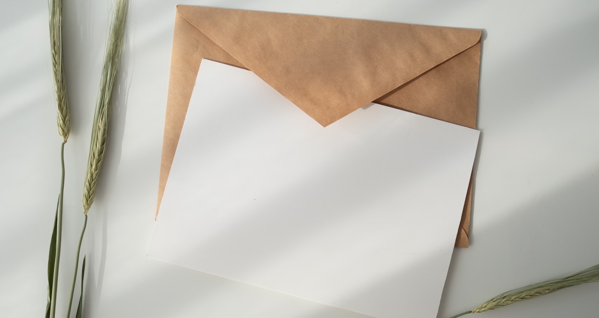 white paper and brown envelope