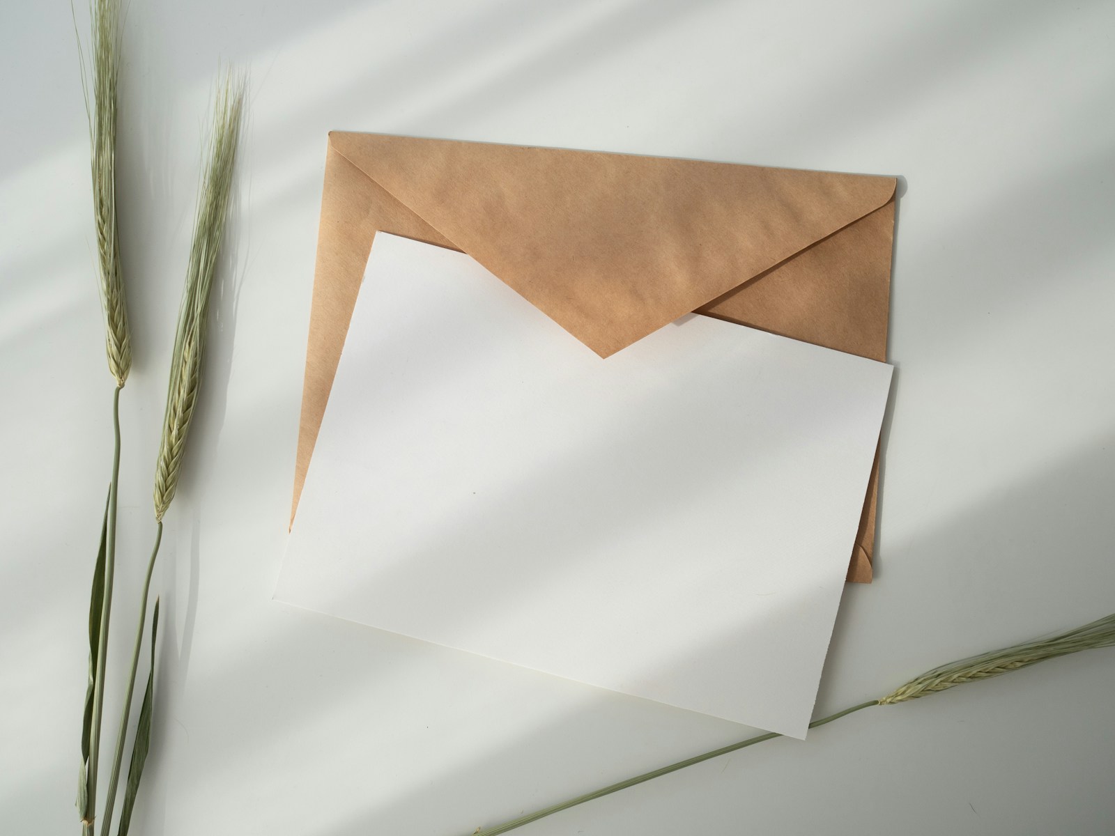 A Letter to Anyone Who Has Been Putting This Off