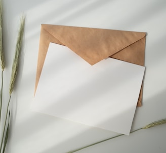 white paper and brown envelope