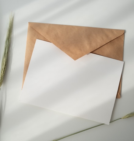 white paper and brown envelope