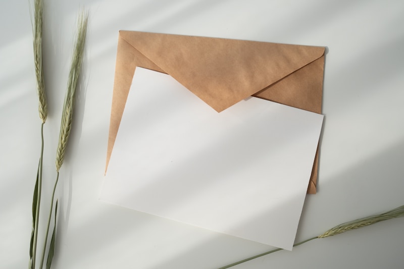 white paper and brown envelope