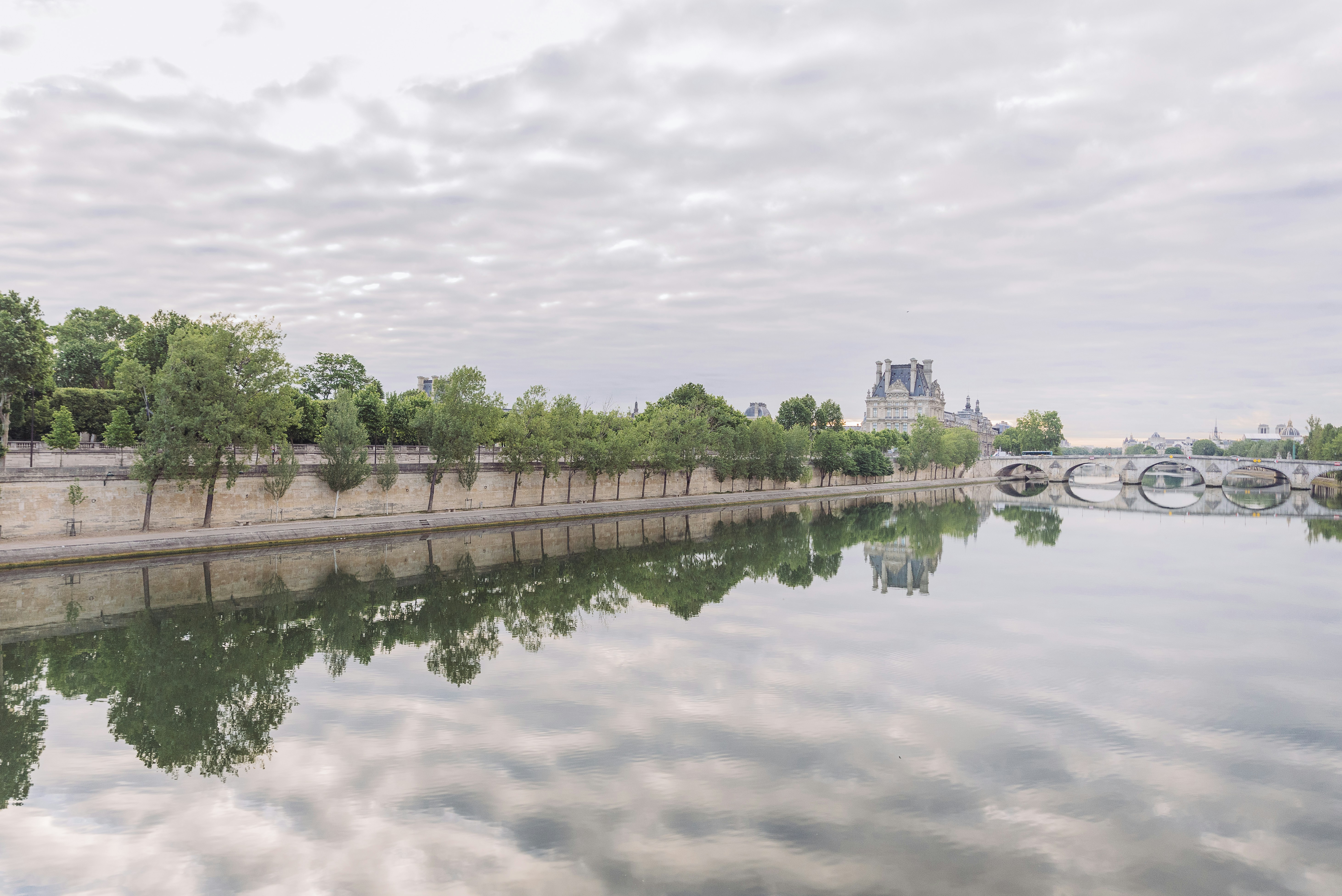 reflection of trees on body of water under cloudy sky during daytime