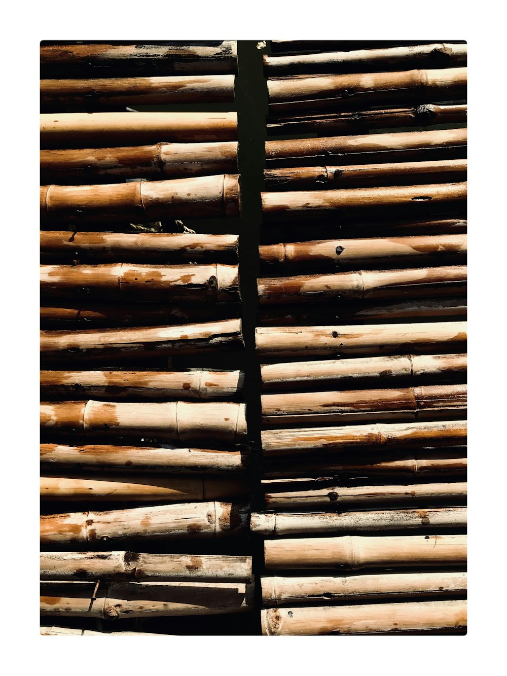 brown bamboo sticks