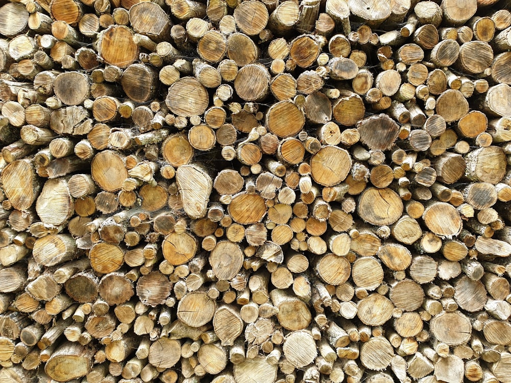 closeup photo of wood slabs