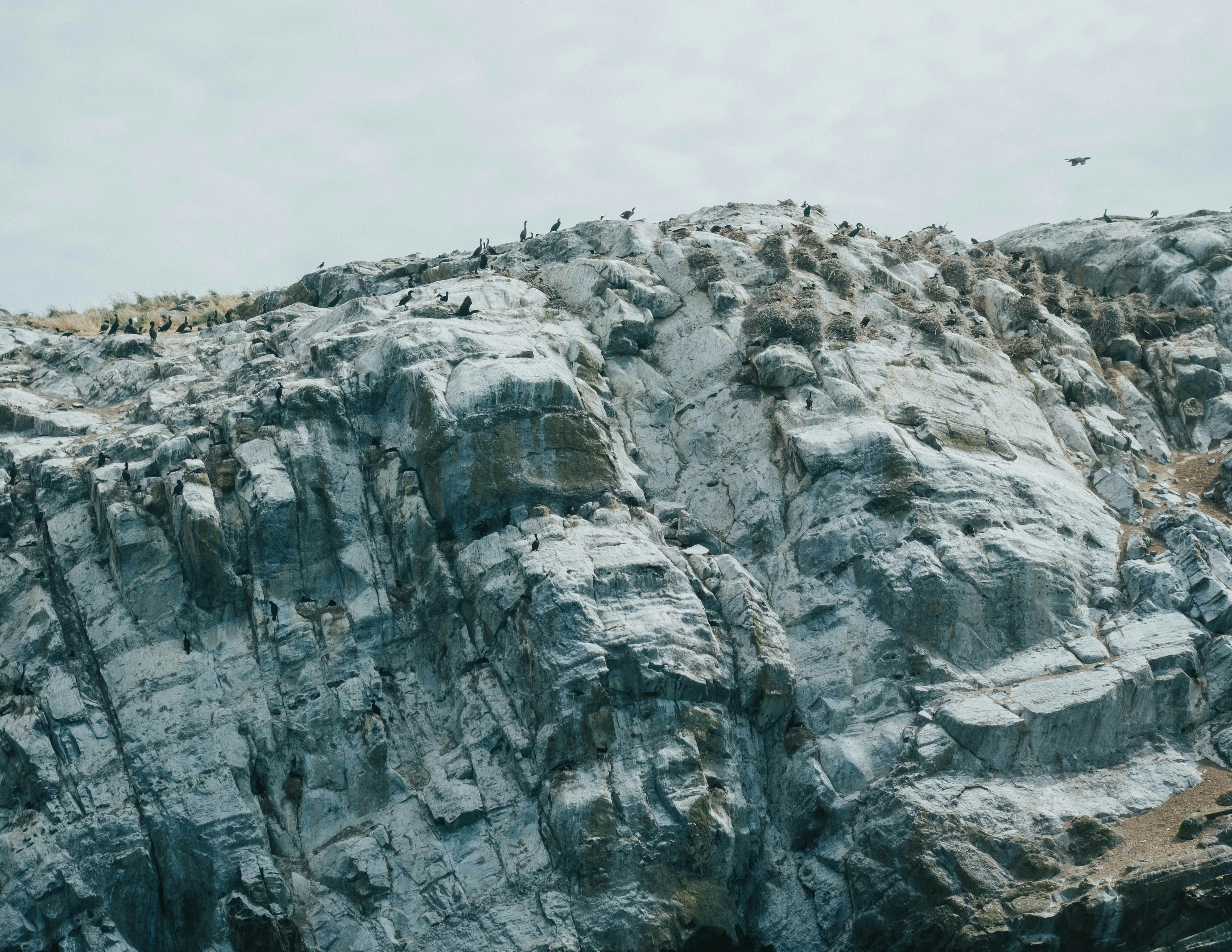 Photo by michael_exploring