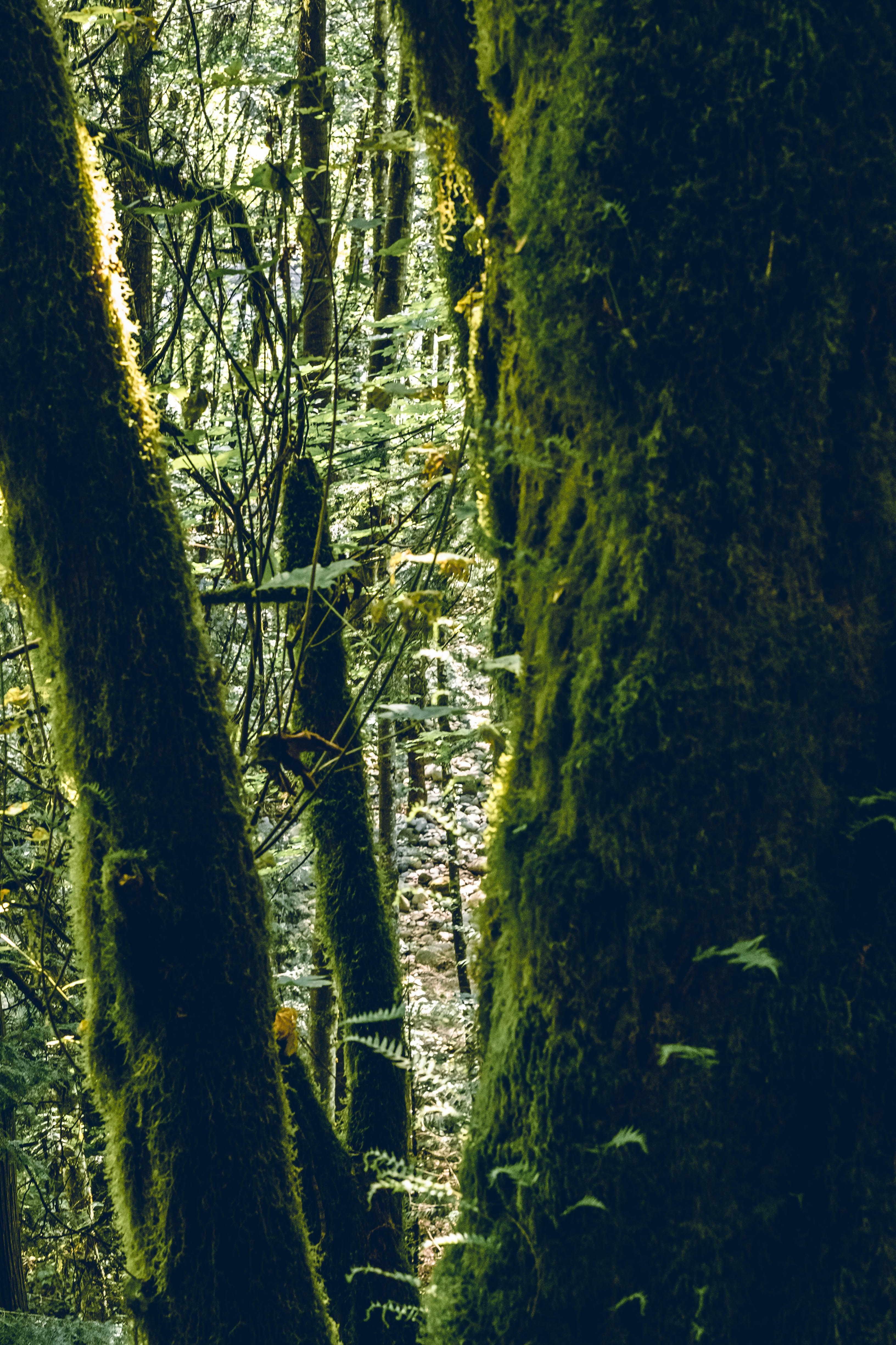 Photo by michael_exploring