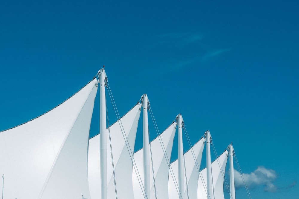 a row of white sail boats sitting next to each other