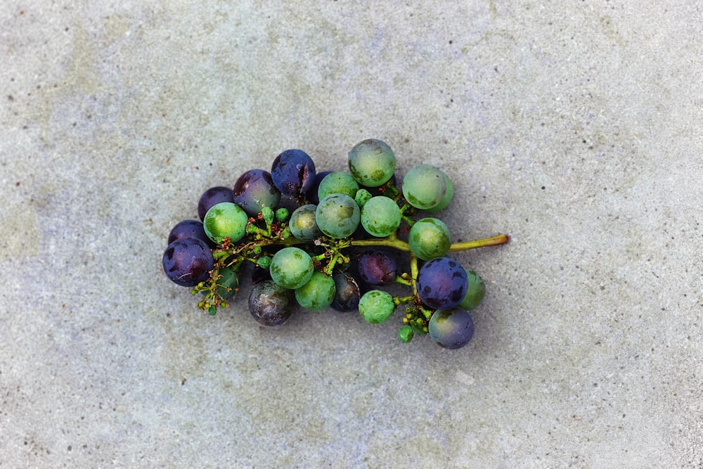 round purple and green fruit