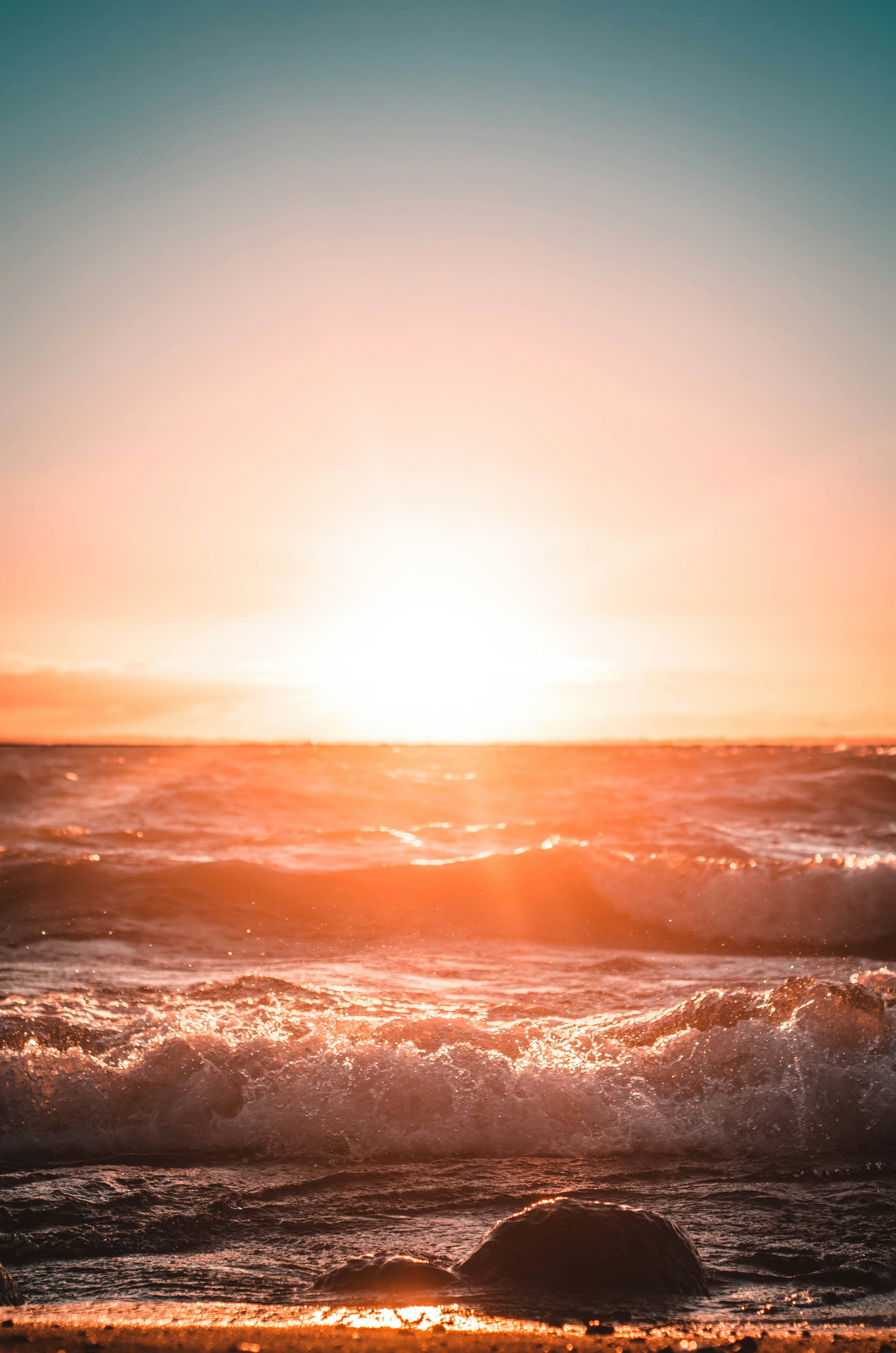 Photo by south_chilean