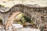 Historic stone bridge crossing a gentle stream along the path in Savoie.