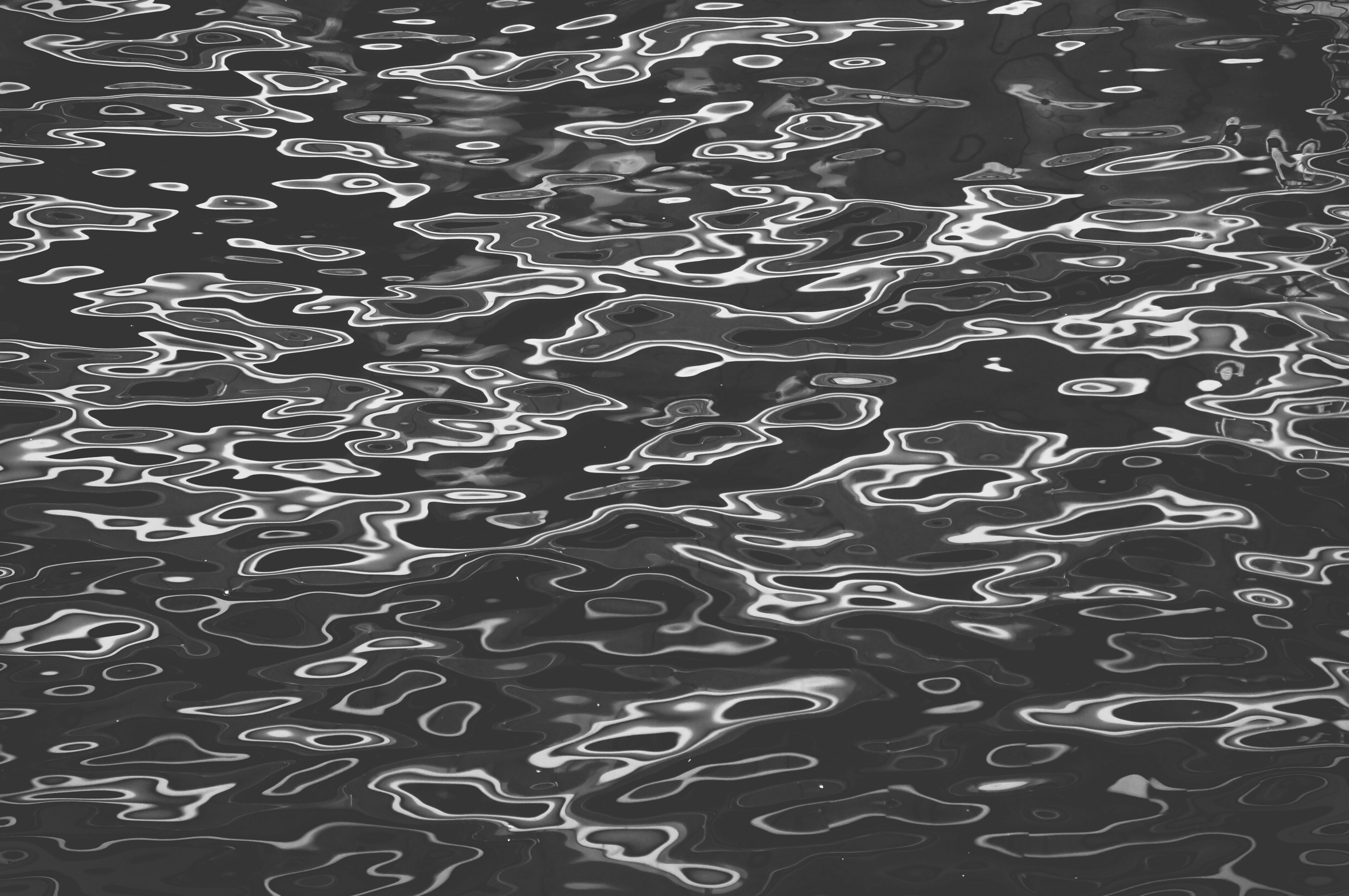 Photo by anellam_arts