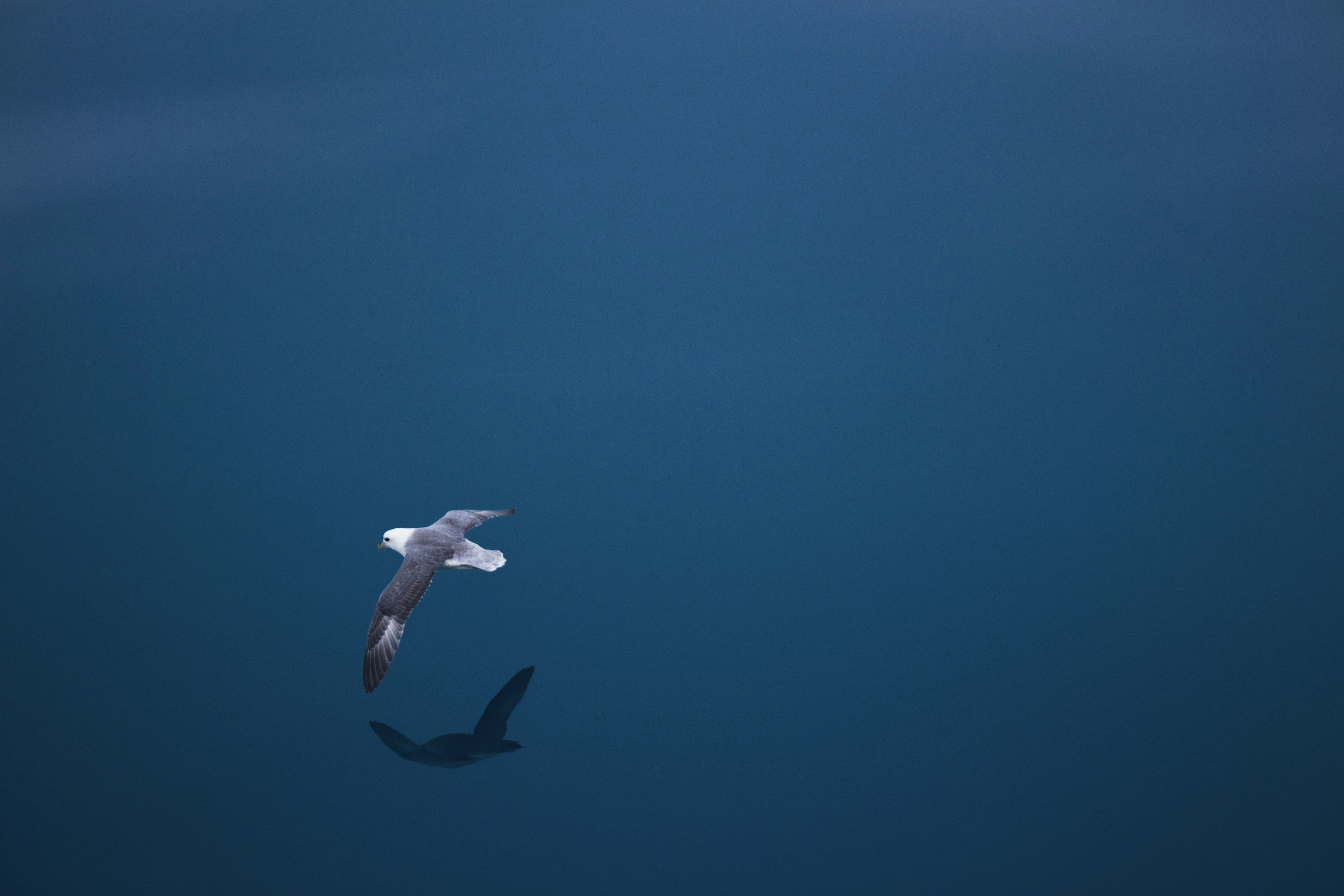 Photo by leopaschoud