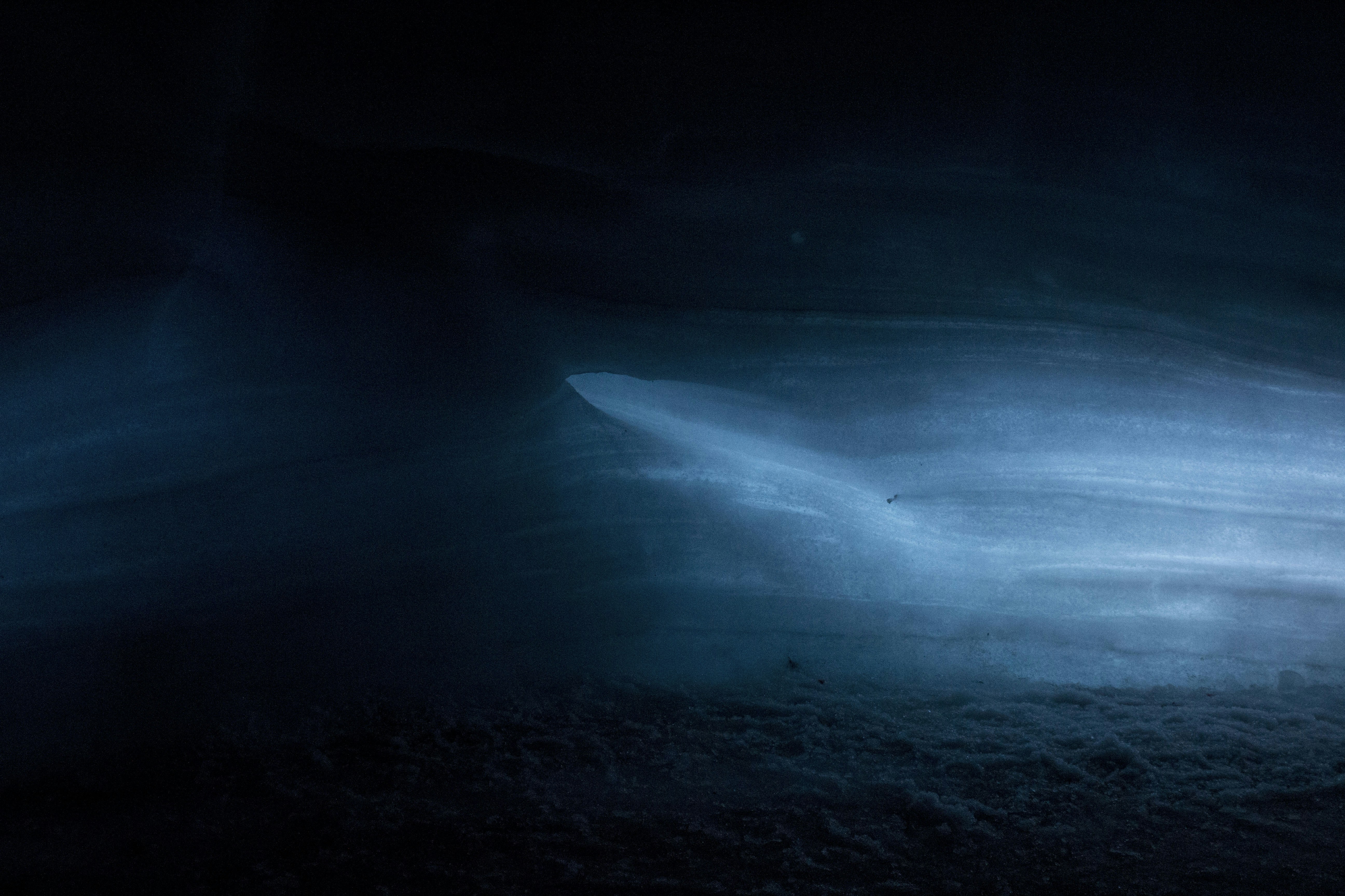 Photo by leopaschoud