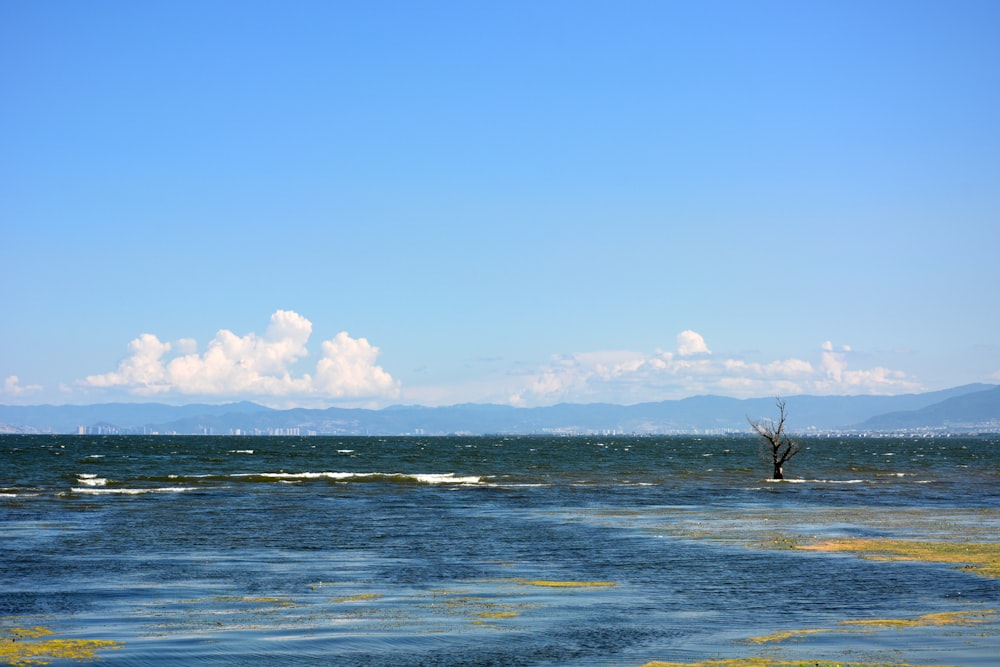 body of water during day