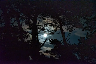full moon