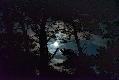 full moon