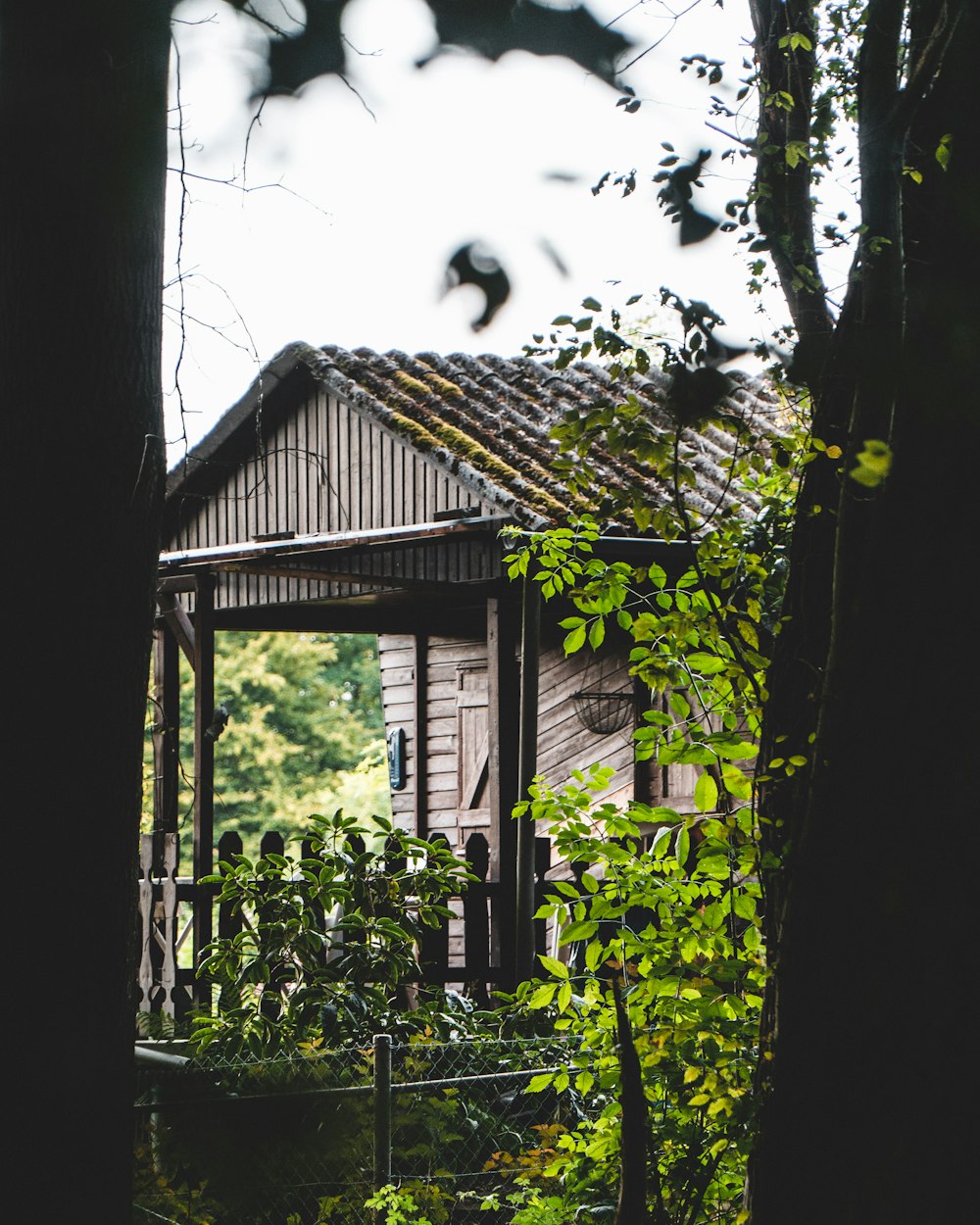 brown wooden house