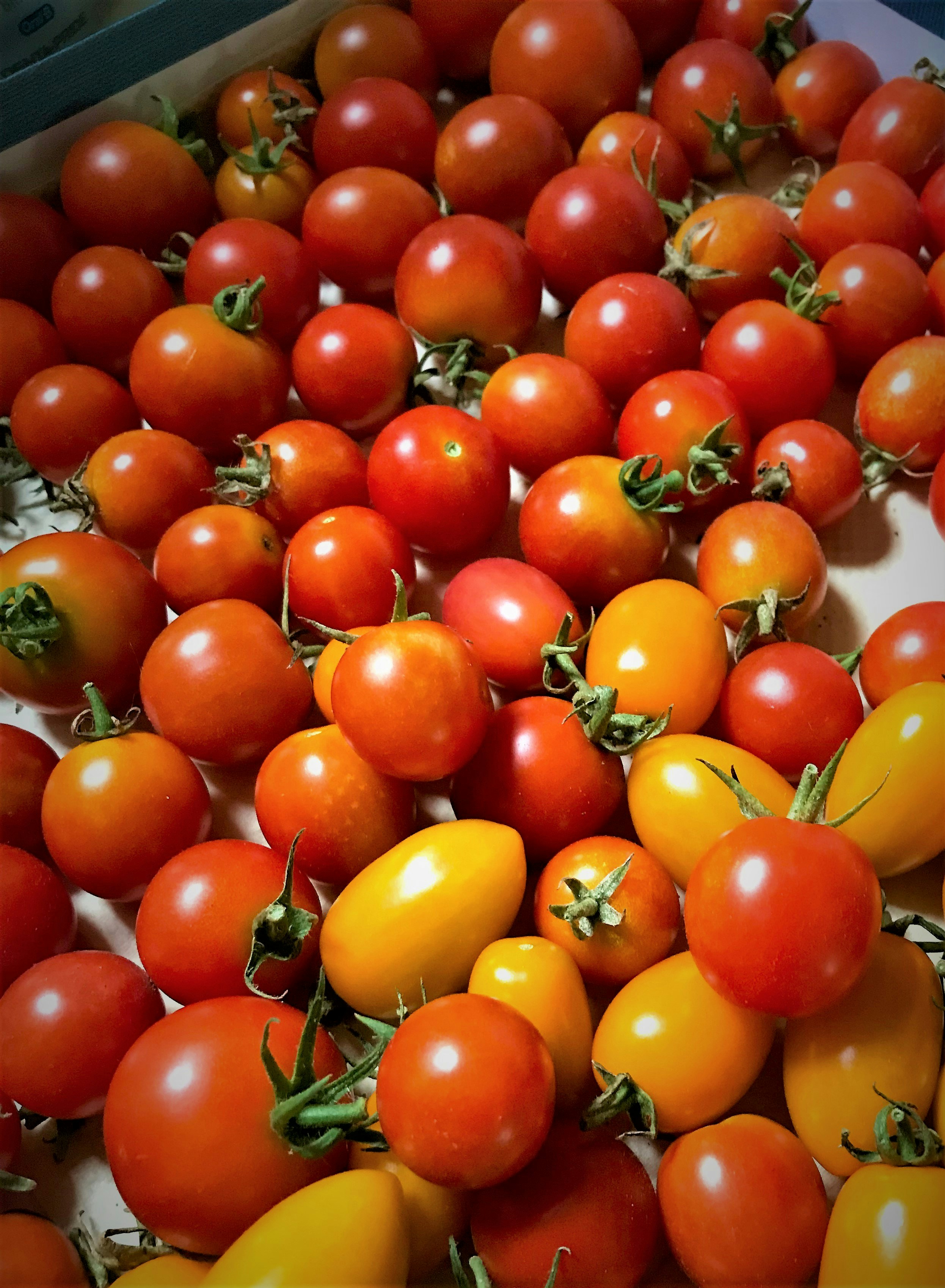 Photo by eriko_takahashi