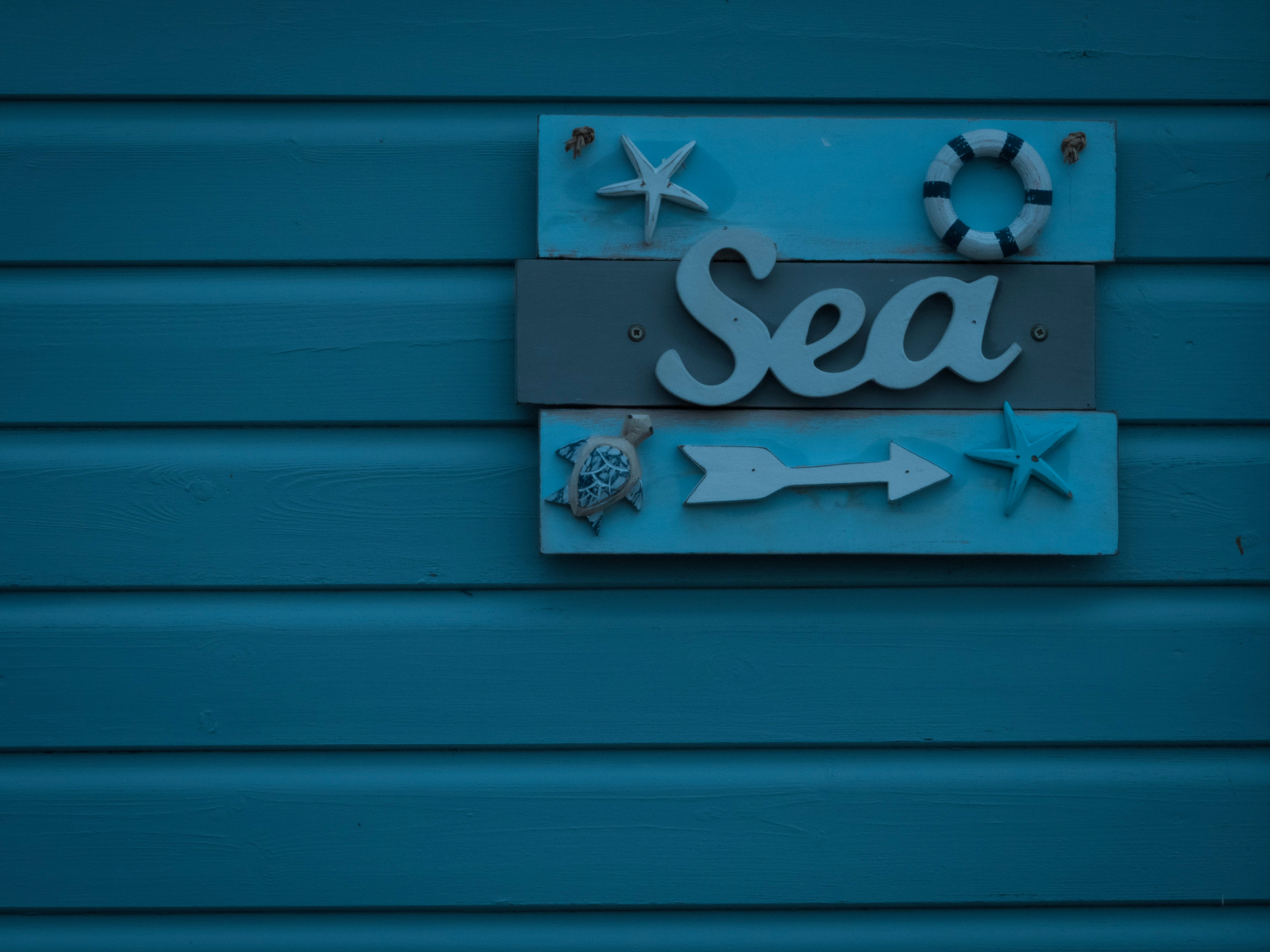 blue and brown sea signboard on wall