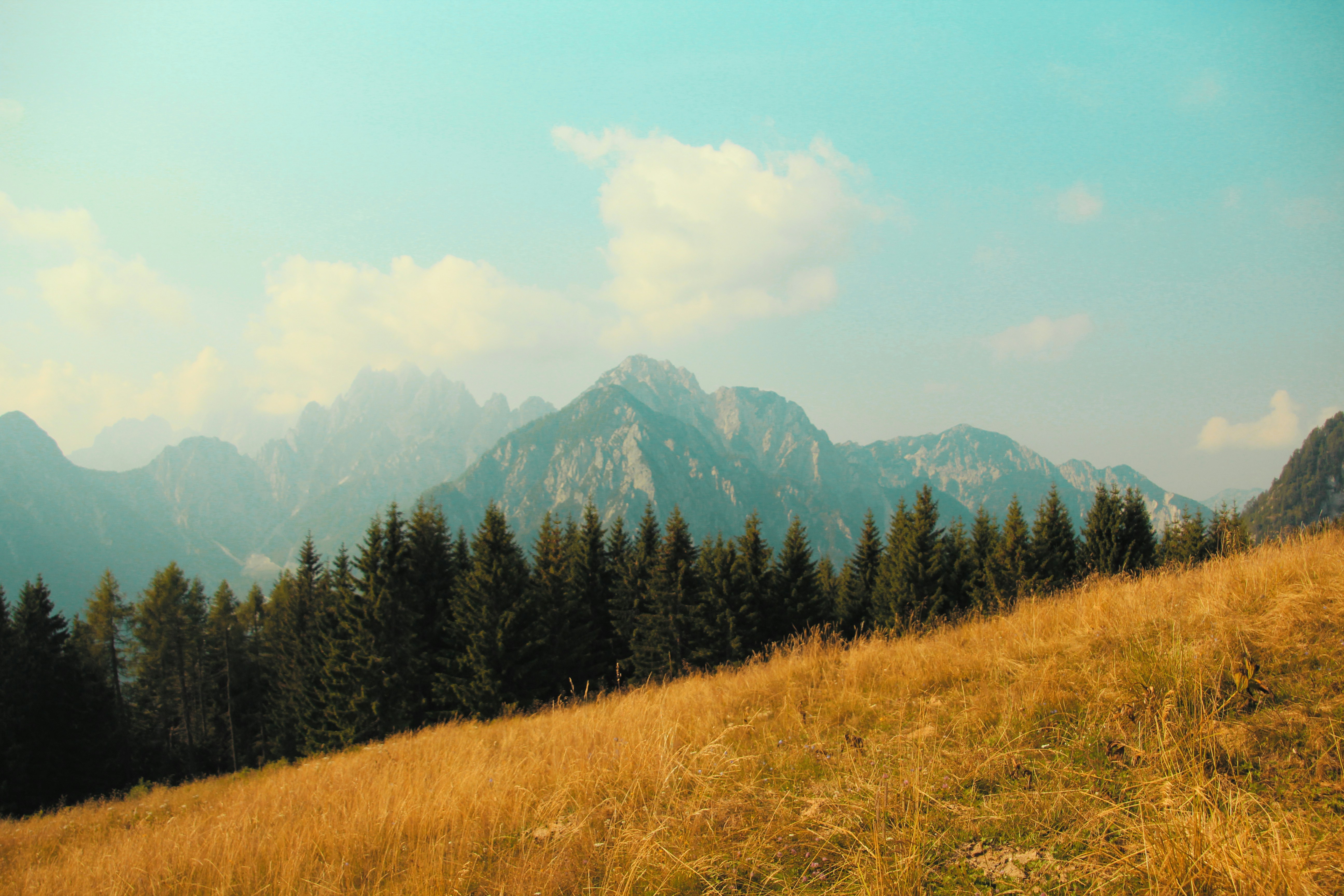 Photo by manuelsardo