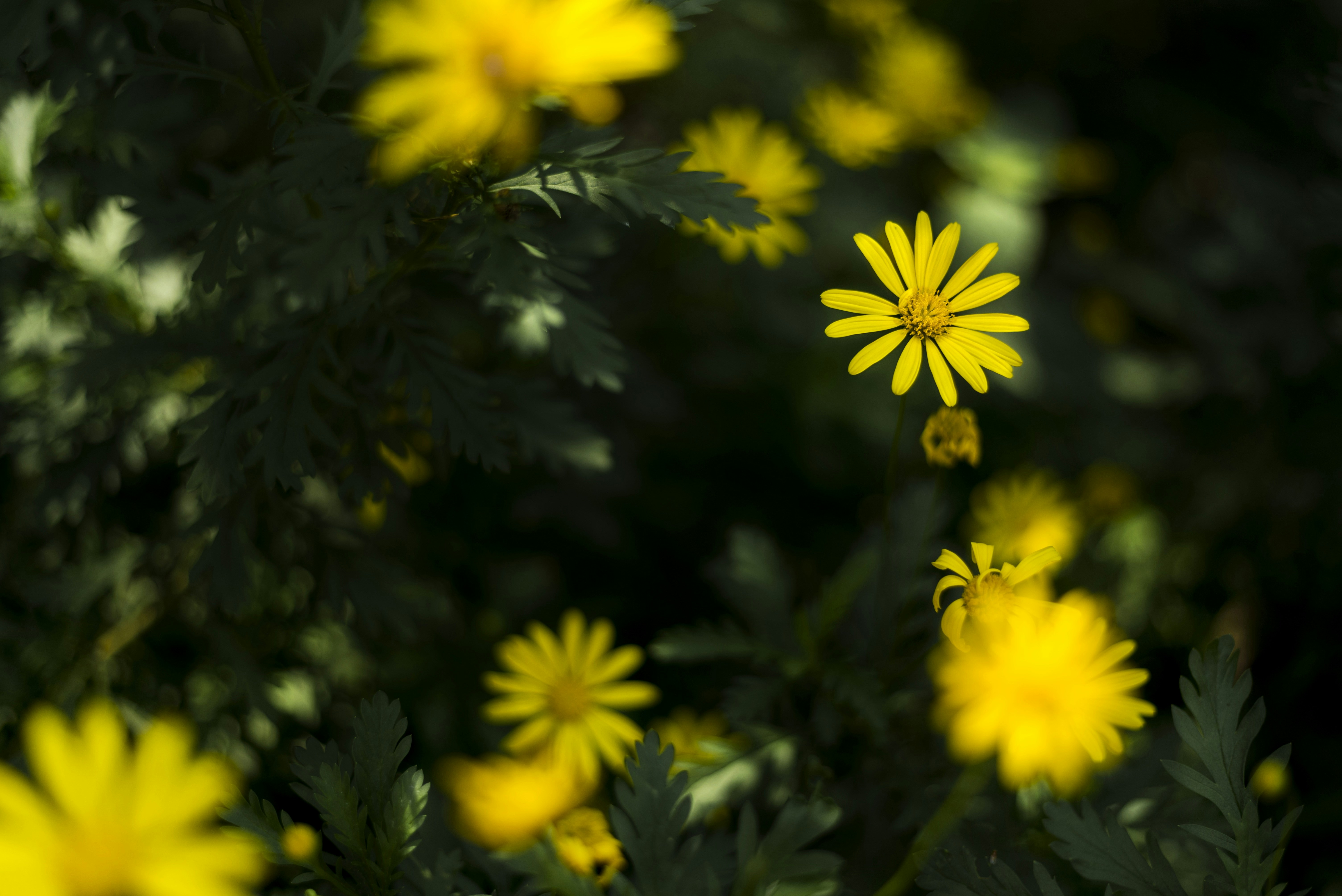 Photo by arkcaptures