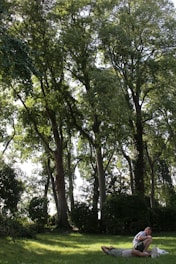 A peaceful park scene with two people napping side by side on a sunny afternoon.