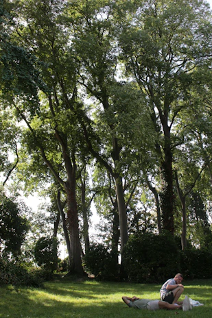 A serene park scene with two friends laughing together on a sunny afternoon.