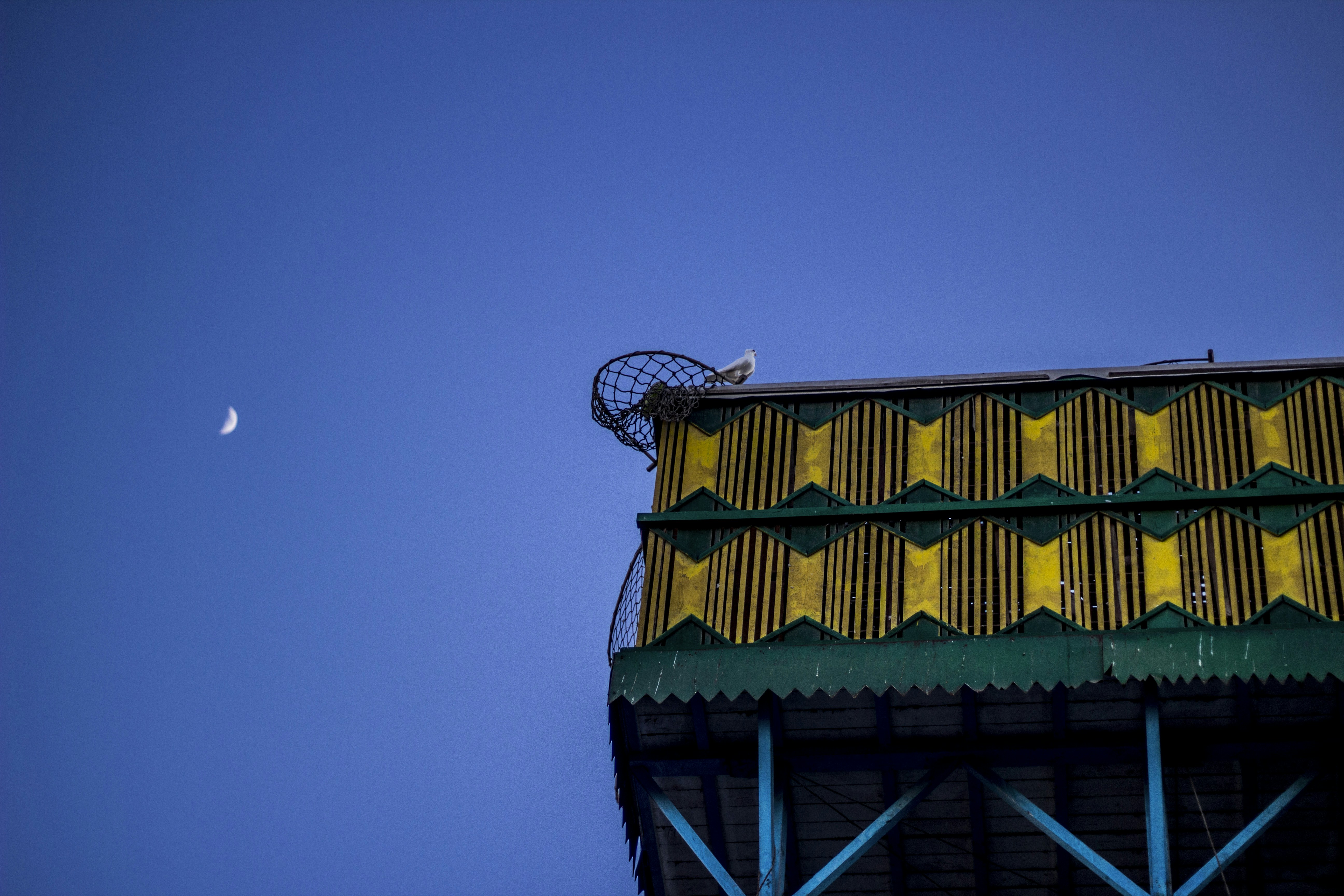 a bird is perched on the roof of a building