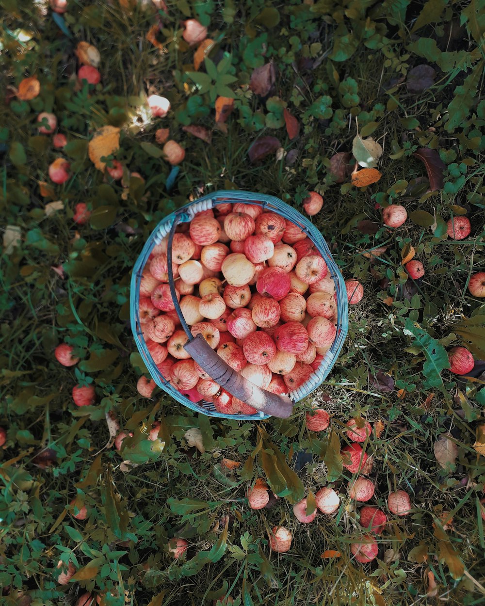 basket of fruits