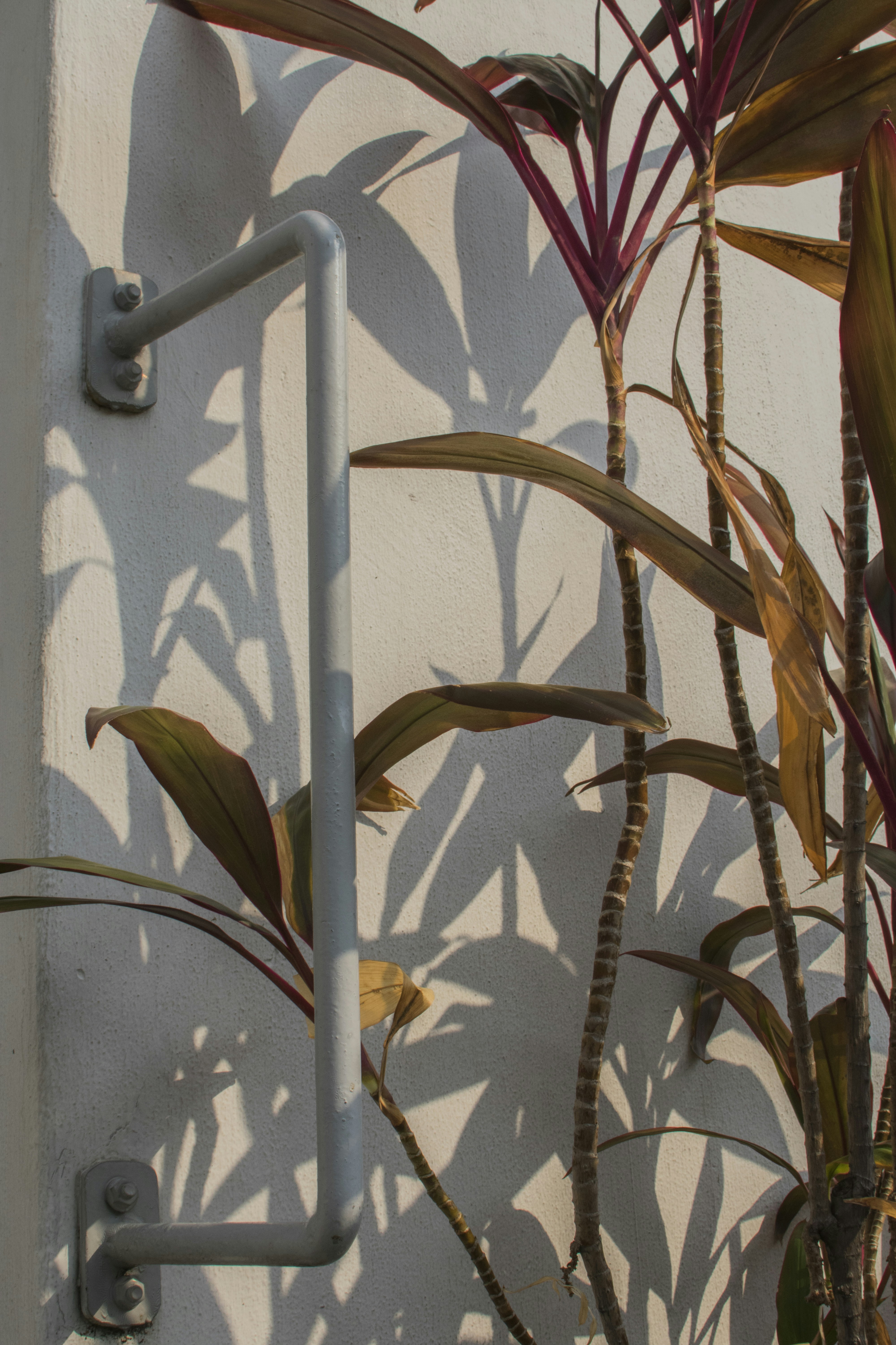 Photo by gervynlouis