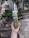 A hand with dark nail polish is holding a bottle of Savse cold-pressed raw smoothie labeled 'Super Green'. The scene is set outdoors in a garden area with wooden benches, stone pathways, and abundant greenery. There is a building in the background with tall windows framed by lush plants and trees.
