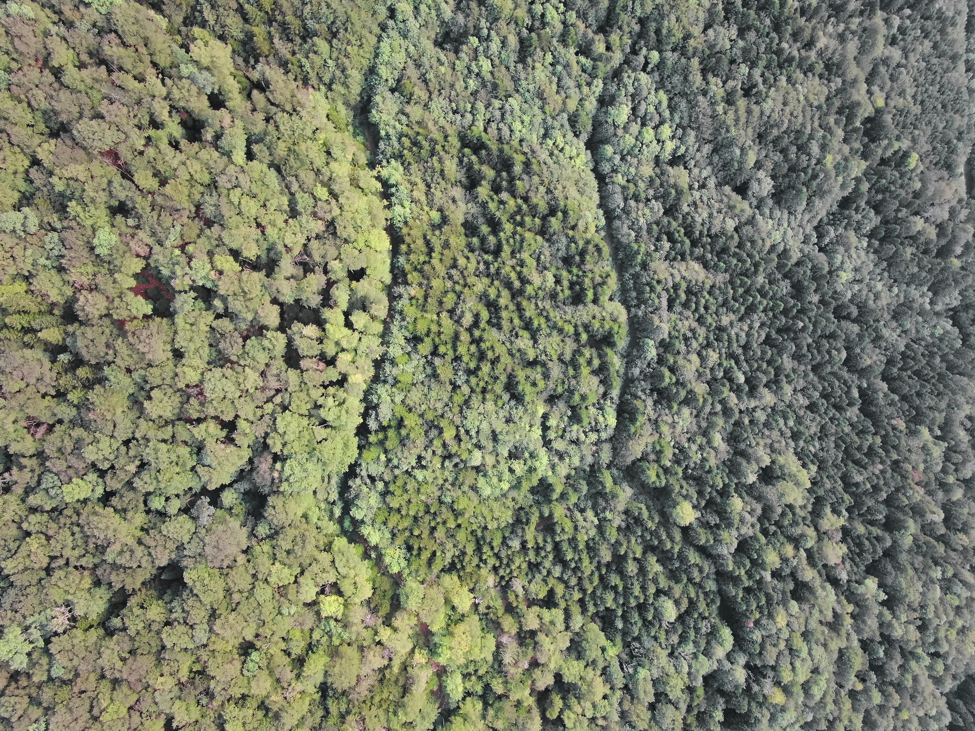 Photo by nathan030997