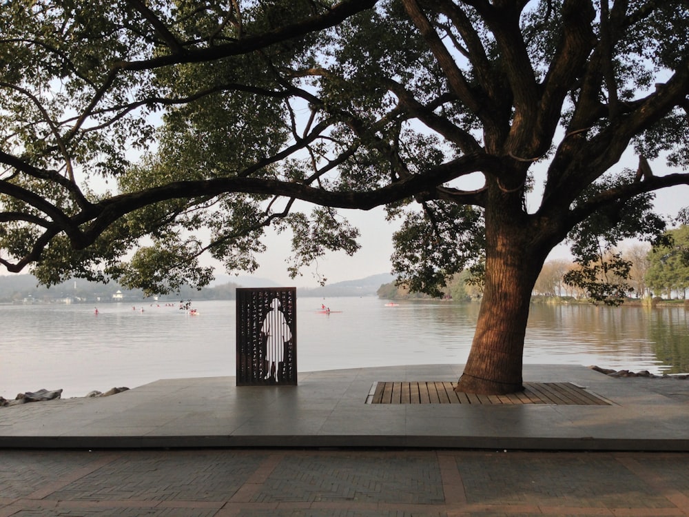 green leaf tree near body of water viewing mountain during daytime