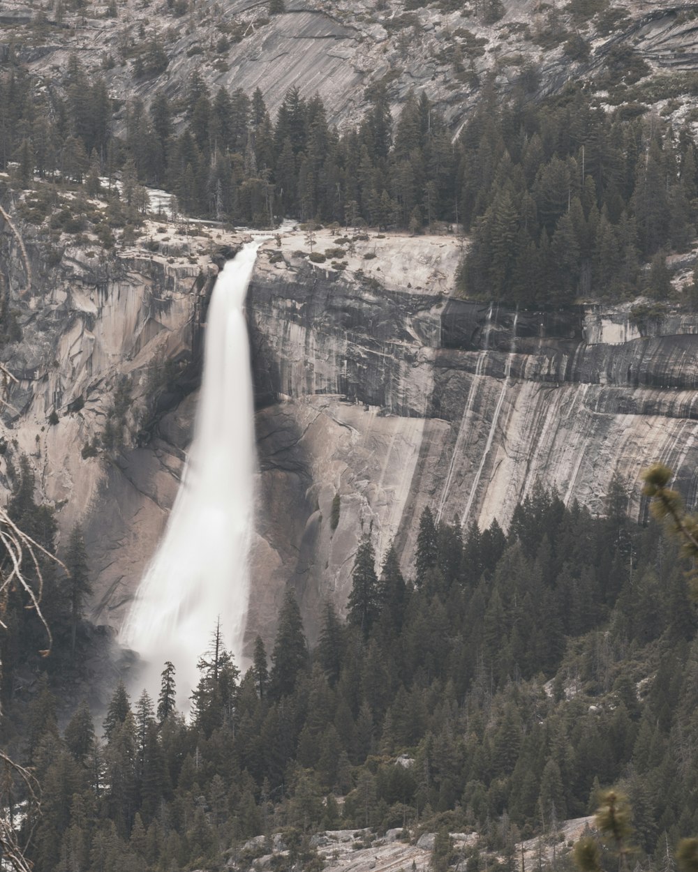 rocky mountain waterfalls near trees