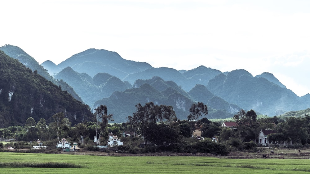 Fotografía aérea de casas cerca de Green Field con vistas a la montaña durante el día