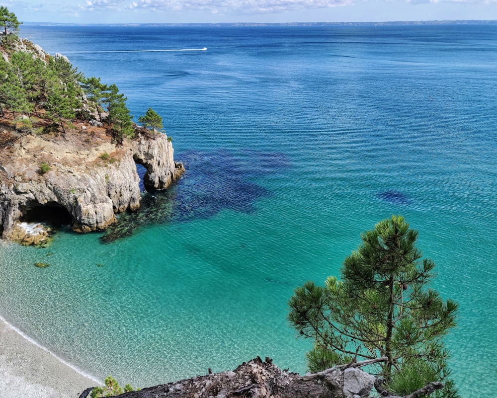 aerial view of trees on cliff beside ocean