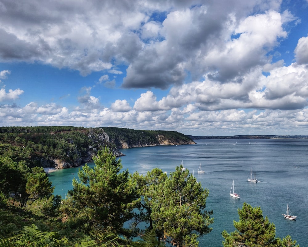 aerial photo of sailboats on sea