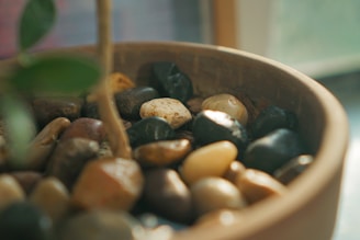 A close-up view of a pot filled with smooth, round stones in various shades of brown, black, and beige. There appears to be a small plant growing among the stones, with a single green leaf visible in the foreground. Soft, natural lighting creates a warm and earthy atmosphere.