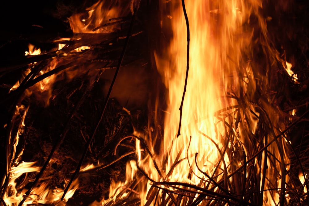 a close up of a fire in a field