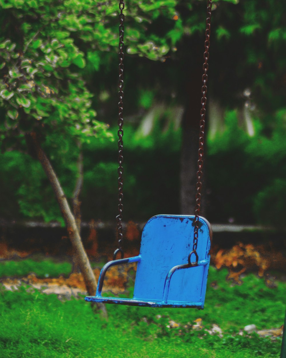 blue metal swing