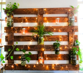 A wooden pallet mounted on a wall is adorned with small string lights and decorated with jars containing plants. The arrangement includes a variety of green plants and candles inside clear jars, creating a rustic and cozy atmosphere.